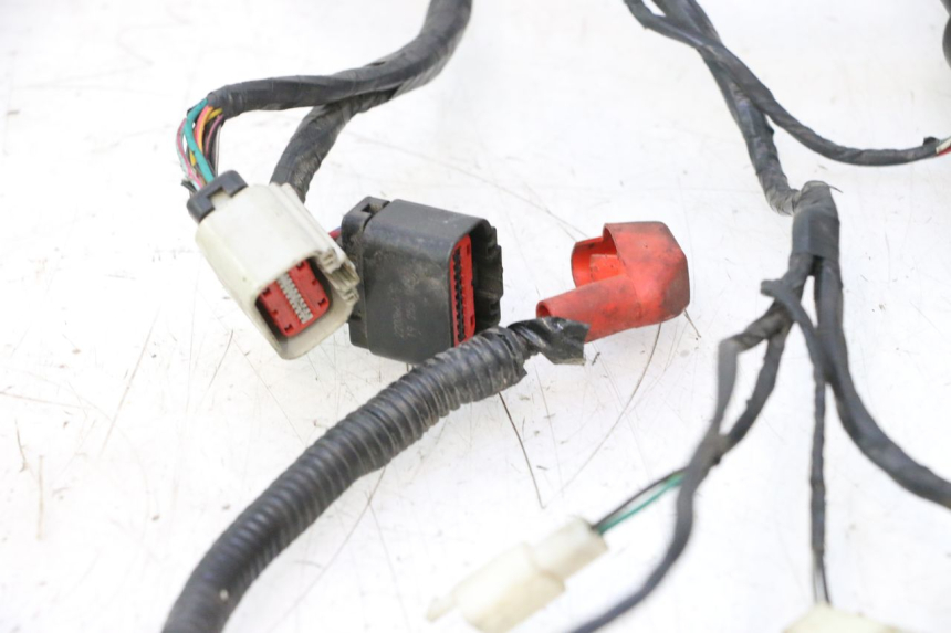 photo de WIĄZKA ELEKTRYCZNA MASH SEVENTY FIVE 125 (2013 - 2021) - Struktura - zbliżenie