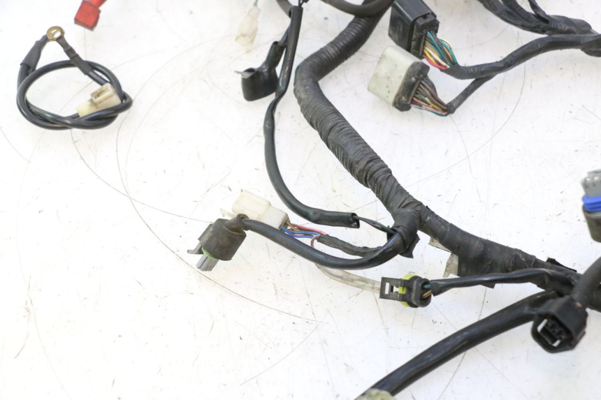 photo de WIĄZKA ELEKTRYCZNA MASH SEVENTY FIVE 125 (2013 - 2021) - Zbliżenie techniczne