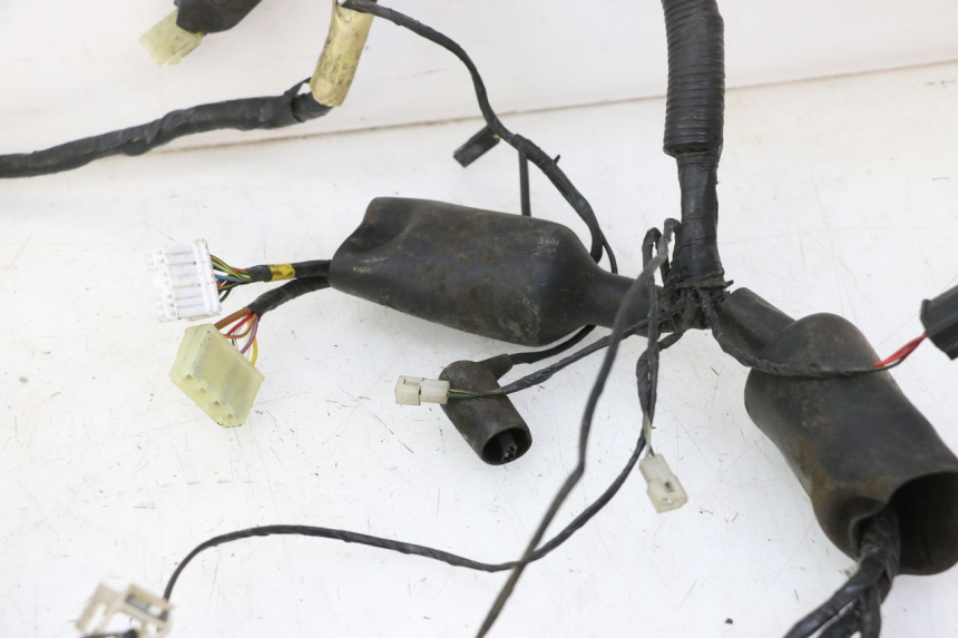 photo de WIĄZKA ELEKTRYCZNA TRIUMPH SPRINT 900 (1995 - 1998) - Kontrola wizualna