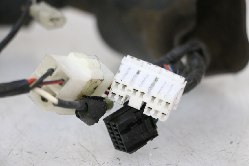 photo de WIĄZKA ELEKTRYCZNA TRIUMPH SPRINT 900 (1995 - 1998) - Struktura - zbliżenie