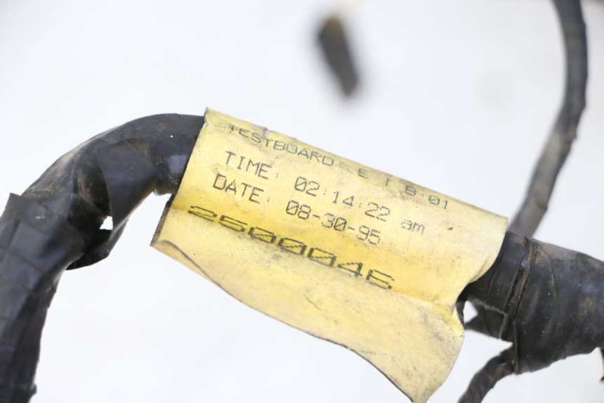 photo de WIĄZKA ELEKTRYCZNA TRIUMPH SPRINT 900 (1995 - 1998) - Inny kąt widzenia