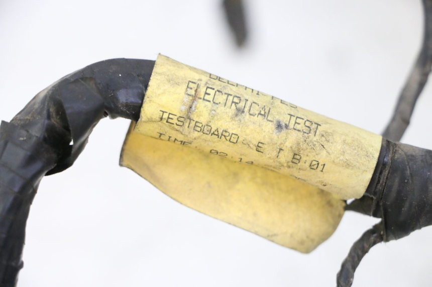 photo de WIĄZKA ELEKTRYCZNA TRIUMPH SPRINT 900 (1995 - 1998) - Zbliżenie techniczne