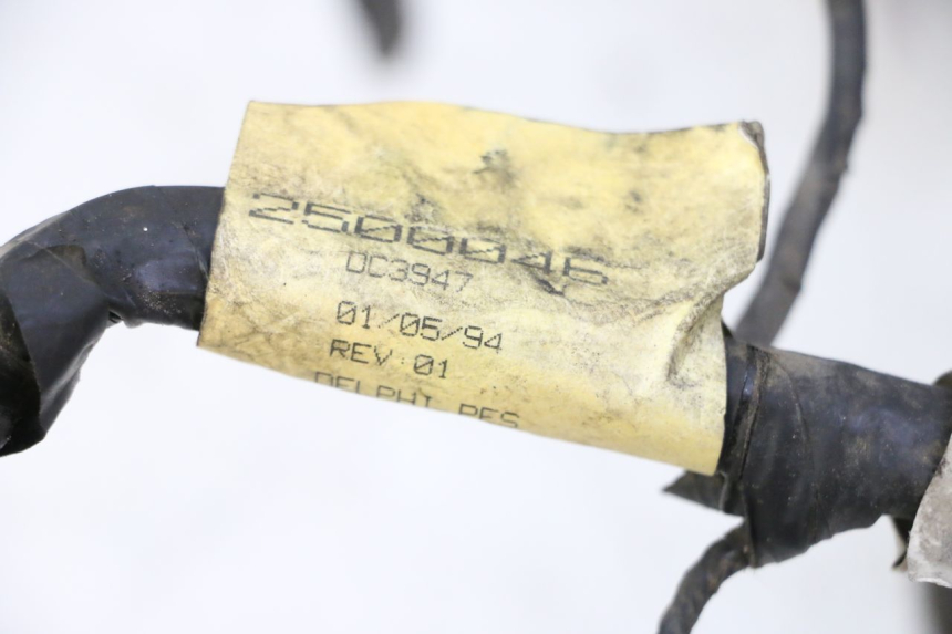 photo de WIĄZKA ELEKTRYCZNA TRIUMPH SPRINT 900 (1995 - 1998) - Widok ogólny