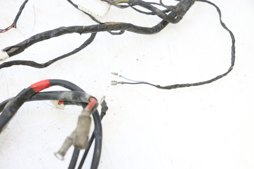 photo de WIĄZKA ELEKTRYCZNA GILERA STALKER 50 (2004 - 2014) - Zbliżenie komponentów