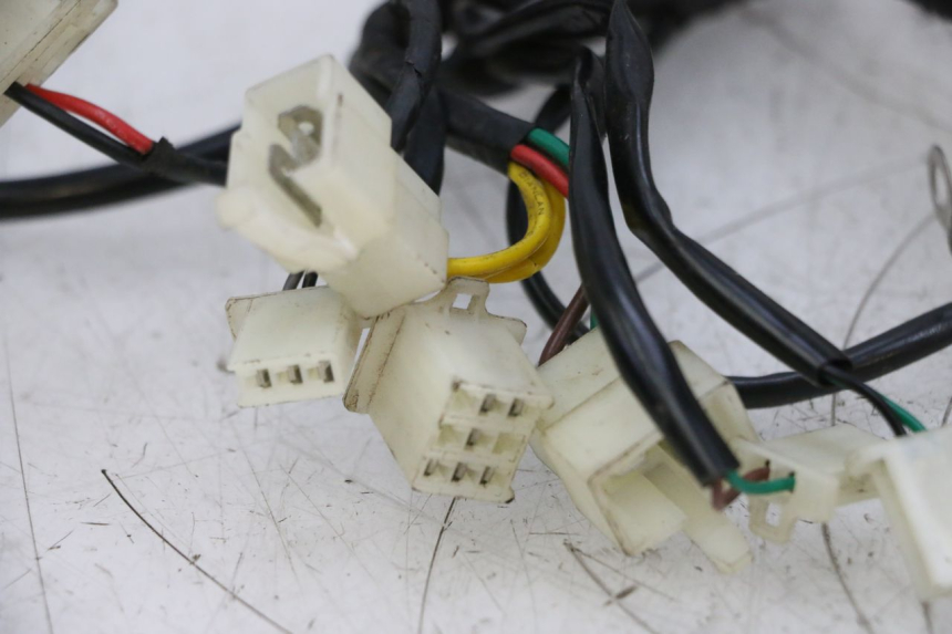 photo de WIĄZKA ELEKTRYCZNA NECO TEMPO 4T 50 (2022 - 2026) - Widok produktu