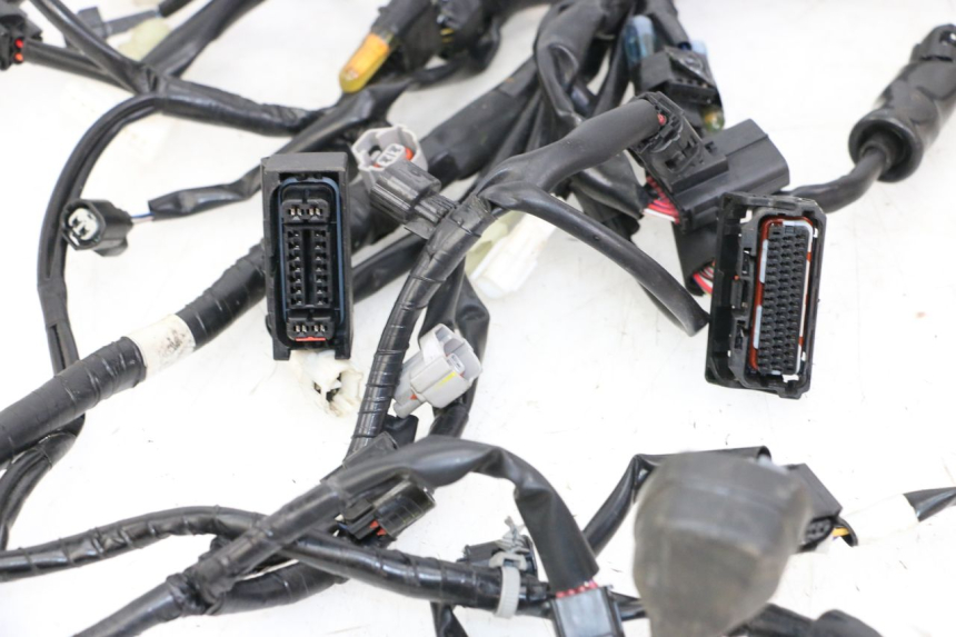 photo de INSTALACJA ELEKTRYCZNA YAMAHA TRACER 7 700 (2020 - 2024) - Widok produktu