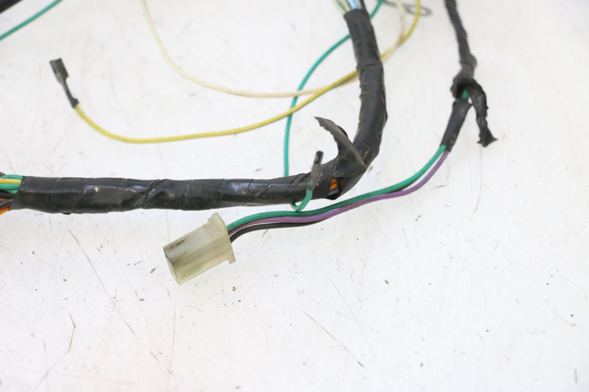 photo de INSTALACJA ELEKTRYCZNA PEUGEOT TREKKER 50 (1995 - 2004) - Zoom jakości
