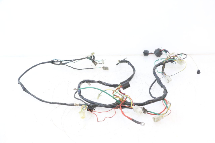 photo de INSTALACJA ELEKTRYCZNA PEUGEOT TREKKER 50 (1995 - 2004) - Szczegół części