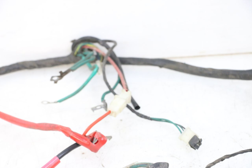 photo de INSTALACJA ELEKTRYCZNA PEUGEOT TWEET PRO CARGO 50 (2018 - 2022) - Widok ogólny