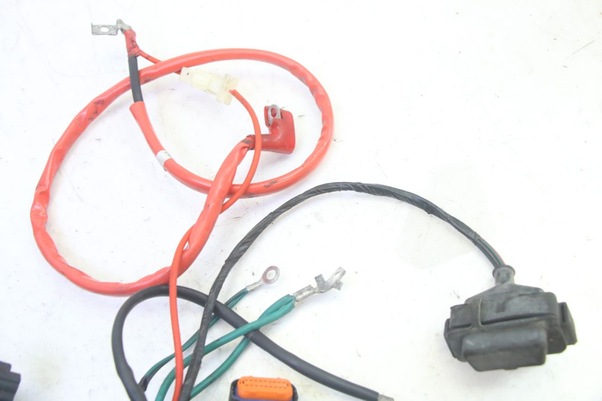 photo de INSTALACJA ELEKTRYCZNA PEUGEOT TWEET PRO EFI 4T 50 (2021 - 2022) - Widok ogólny