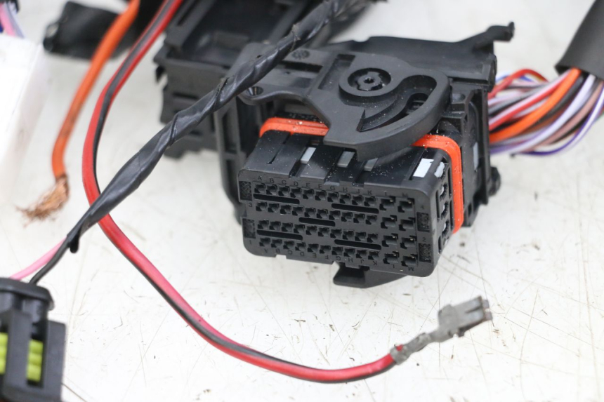 photo de INSTALACJA ELEKTRYCZNA PIAGGIO VESPA PRIMAVERA 4T 50 (2021 - 2024) - Widok produktu