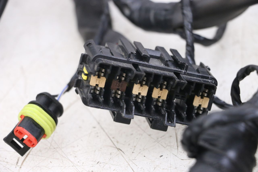 photo de INSTALACJA ELEKTRYCZNA PIAGGIO VESPA PRIMAVERA 4T 50 (2021 - 2024) - Punkty mocowania