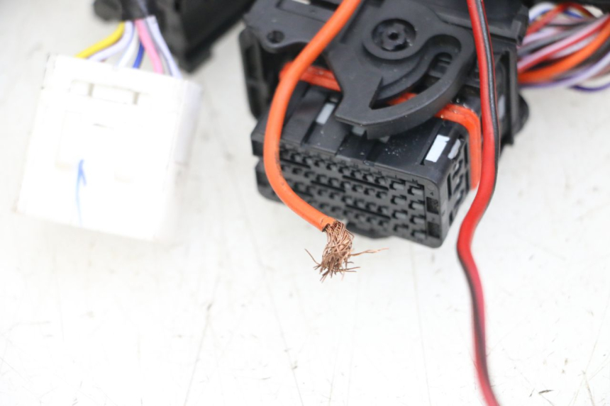 photo de INSTALACJA ELEKTRYCZNA PIAGGIO VESPA PRIMAVERA 4T 50 (2021 - 2024) - Część sprawdzona