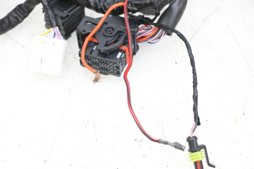 photo de INSTALACJA ELEKTRYCZNA PIAGGIO VESPA PRIMAVERA 4T 50 (2021 - 2024) - Oznaczenia i referencje