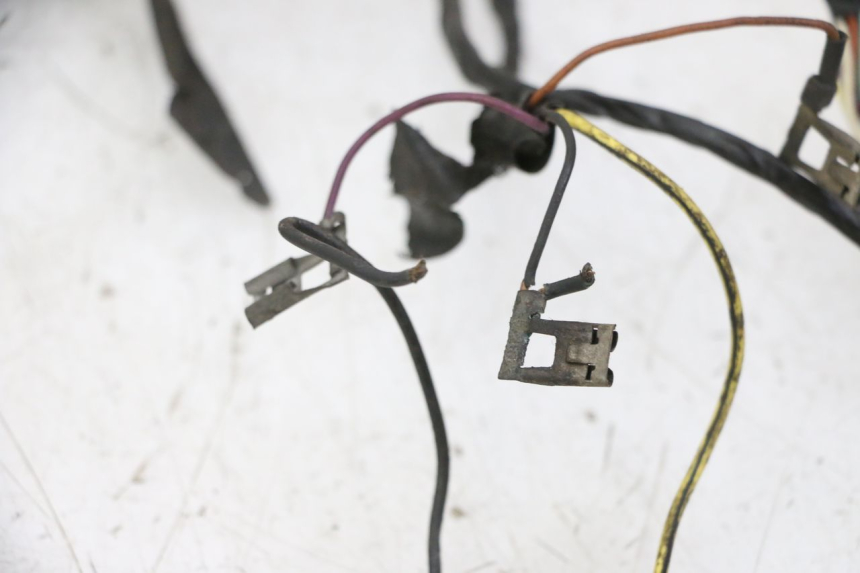 photo de INSTALACJA ELEKTRYCZNA PIAGGIO VESPA S 2T 50 (2007 - 2014) - Zbliżenie techniczne