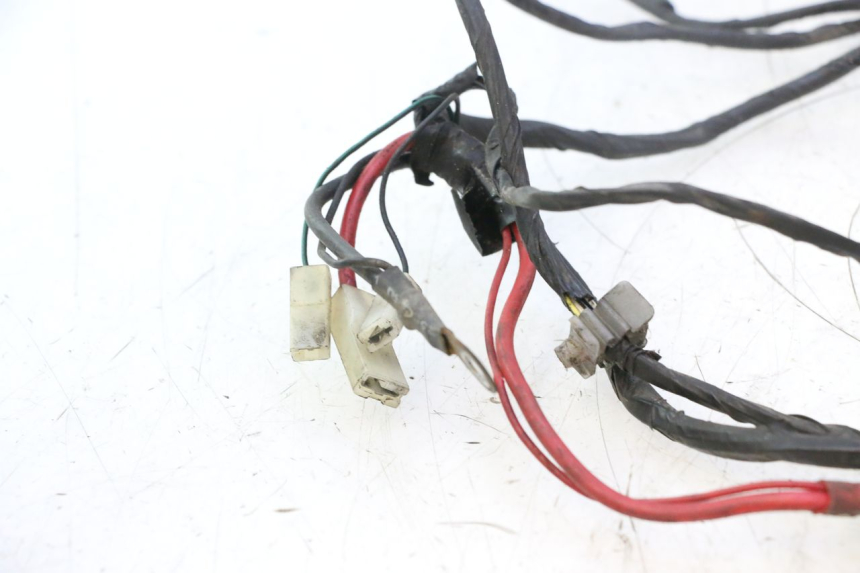 photo de INSTALACJA ELEKTRYCZNA PIAGGIO VESPA S 2T 50 (2007 - 2014) - Szczegół części
