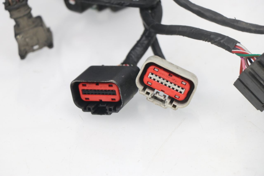 photo de INSTALACJA ELEKTRYCZNA JM MOTORS VIPER 4T 50 (2015 - 2022) - Szczegóły charakterystyczne