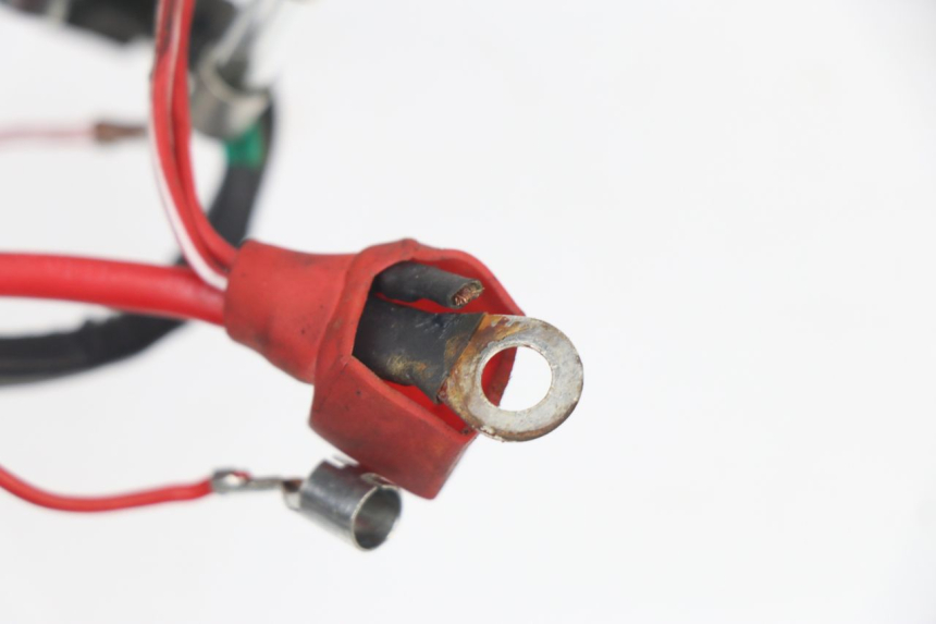 photo de INSTALACJA ELEKTRYCZNA JM MOTORS VIPER 4T 50 (2015 - 2022) - Inny kąt widzenia