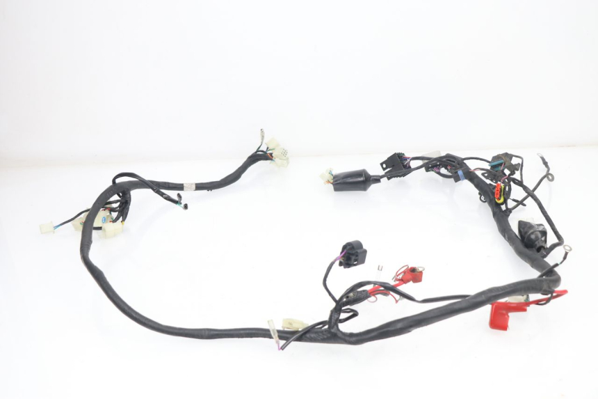 photo de INSTALACJA ELEKTRYCZNA JM MOTORS VIPER 4T 50 (2015 - 2022) - Widok ogólny