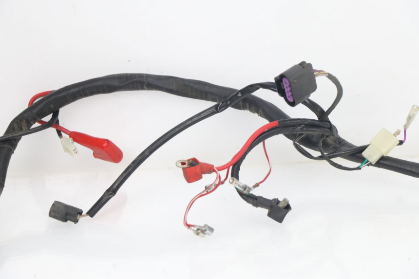 photo de INSTALACJA ELEKTRYCZNA JM MOTORS VIPER 4T 50 (2015 - 2022) - Stan powierzchni
