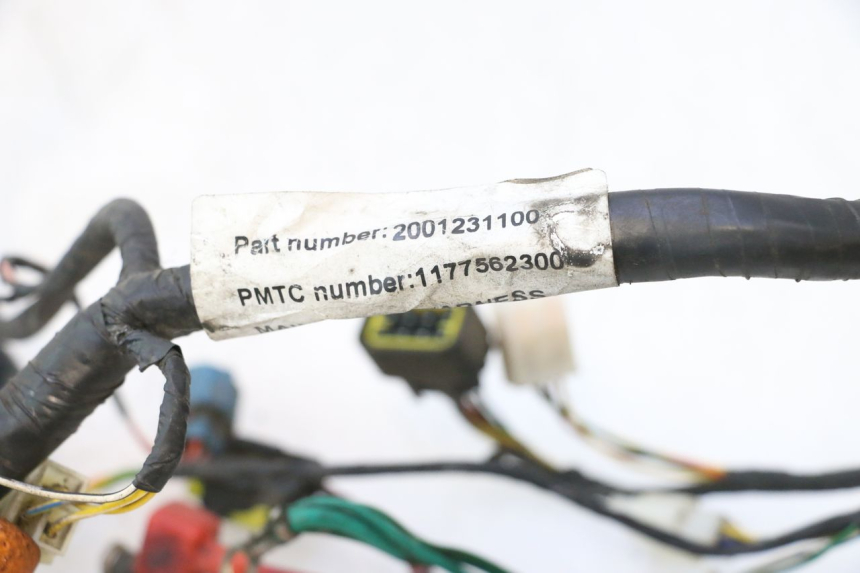 photo de INSTALACJA ELEKTRYCZNA PEUGEOT VIVACITY NEW 2T 50 (2008 - 2017) - Szczegół części