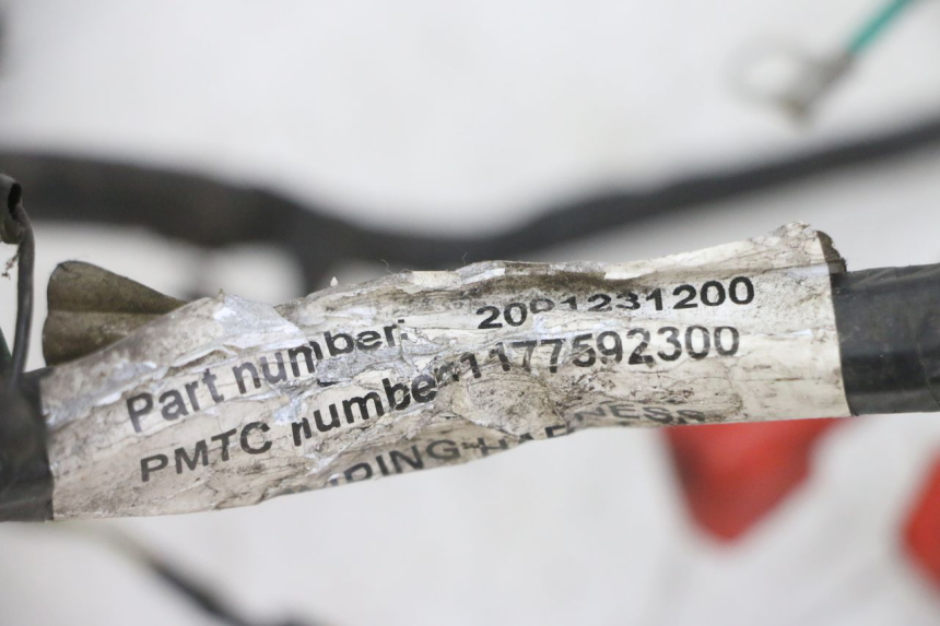 photo de INSTALACJA ELEKTRYCZNA PEUGEOT VIVACITY NEW 4T 50 (2008 - 2017) - Szczegół części