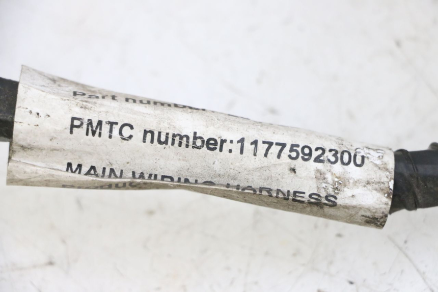 photo de INSTALACJA ELEKTRYCZNA PEUGEOT VIVACITY NEW 4T 50 (2008 - 2017) - Oznaczenia i referencje