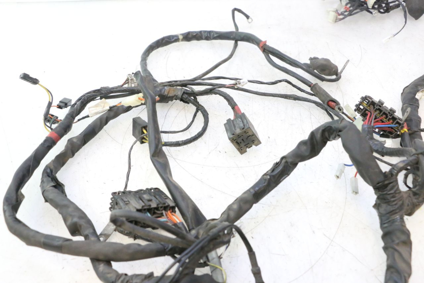 photo de INSTALACJA ELEKTRYCZNA PIAGGIO X8 STREET 125 (2006 - 2007) - Widok produktu