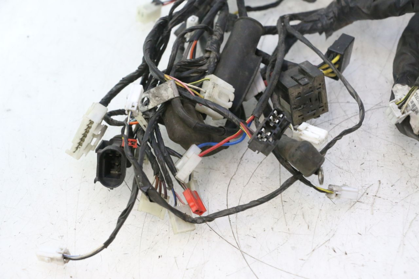 photo de INSTALACJA ELEKTRYCZNA PIAGGIO X8 STREET 125 (2006 - 2007) - Zdjęcie dodatkowe