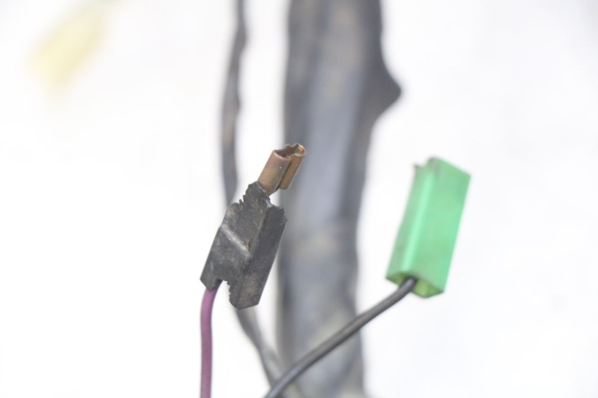 photo de WIĄZKA ELEKTRYCZNA PIAGGIO XEVO - X EVO 125 (2007 - 2017) - Szczegół części