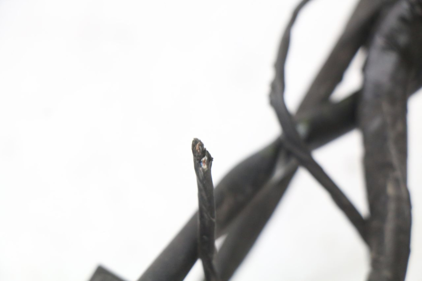 photo de WIĄZKA ELEKTRYCZNA PIAGGIO XEVO - X EVO 125 (2007 - 2017) - Widok produktu