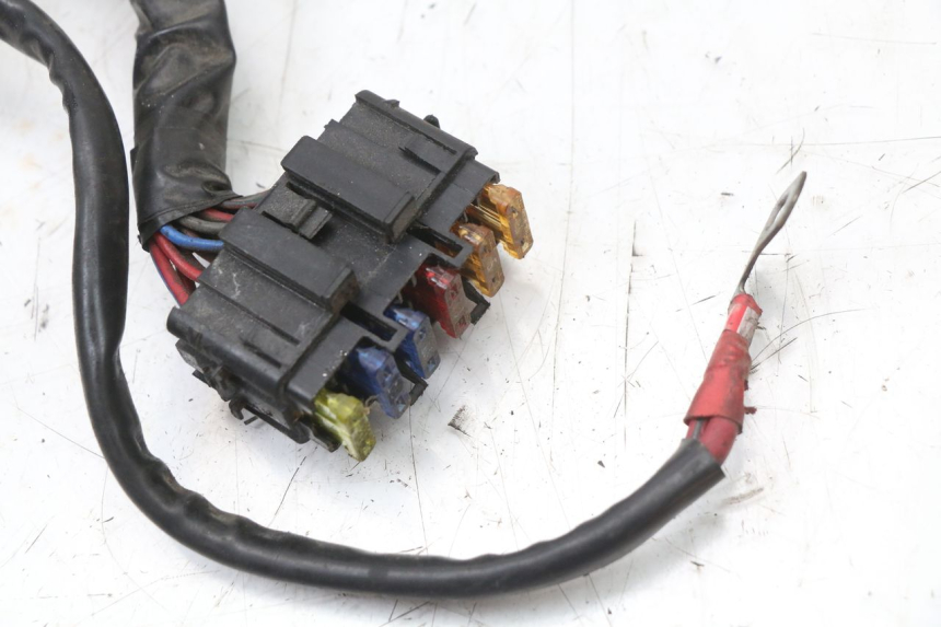 photo de WIĄZKA ELEKTRYCZNA PIAGGIO XEVO - X EVO 125 (2007 - 2017) - Widok ogólny