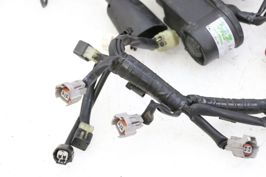 photo de WIĄZKA ELEKTRYCZNA YAMAHA XJ6 ABS 600 (2008 - 2016) - Alternatywny kąt