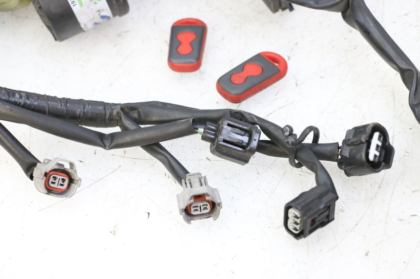 photo de WIĄZKA ELEKTRYCZNA YAMAHA XJ6 ABS 600 (2008 - 2016) - Widok profilu