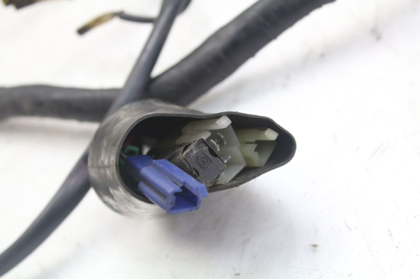 photo de INSTALACJA ELEKTRYCZNA YAMAHA XJN DIVERSION 600 (2000 - 2003) - Szczegół części