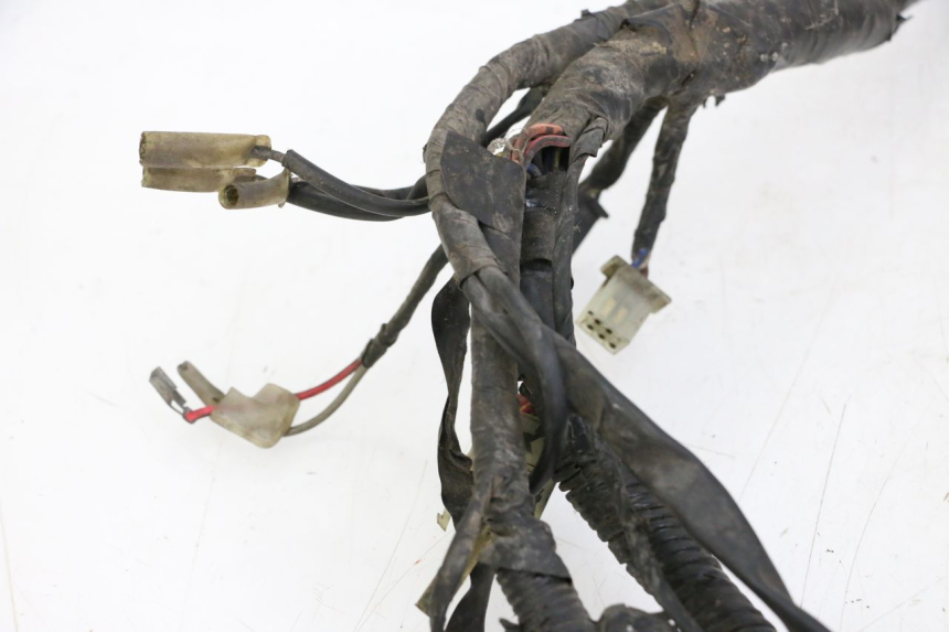 photo de INSTALACJA ELEKTRYCZNA YAMAHA XJN DIVERSION 600 (2000 - 2003) - Oznaczenia i referencje