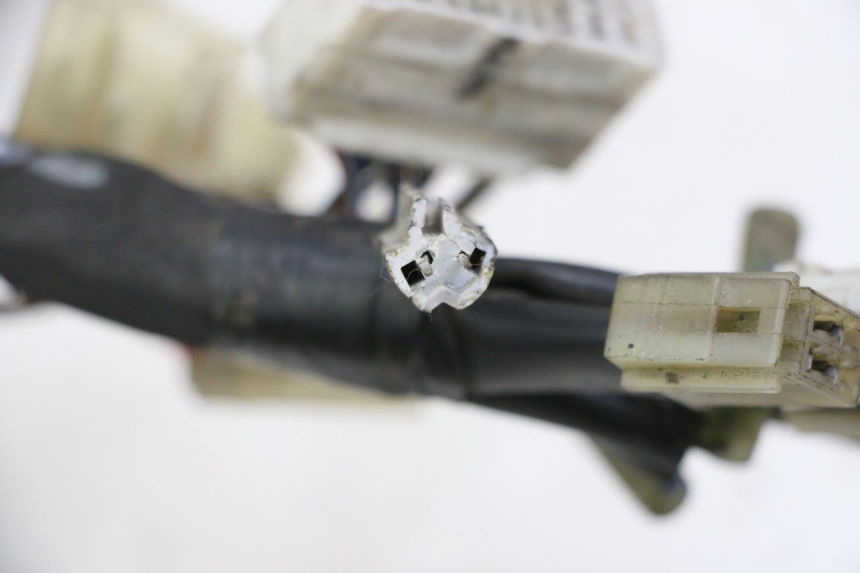 photo de INSTALACJA ELEKTRYCZNA YAMAHA FZ6 FAZER S2 600 (2007 - 2011) - Widok ogólny