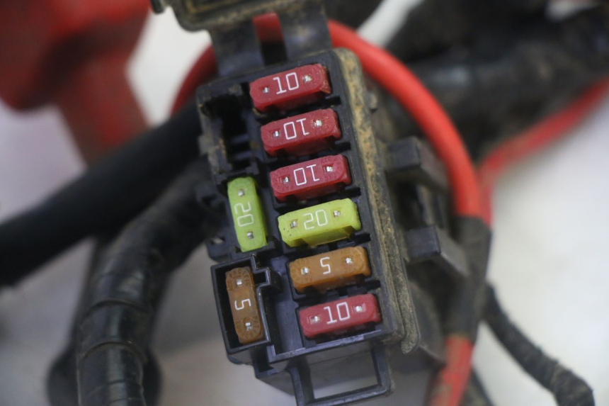 photo de INSTALACJA ELEKTRYCZNA YAMAHA YFM GRIZZLY 550 (2008 - 2015) - Widok produktu