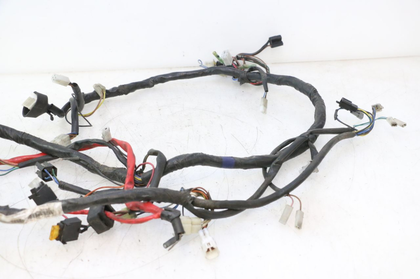 photo de INSTALACJA ELEKTRYCZNA YAMAHA YP MAJESTY 125 (2007 - 2010) - Szczegół części