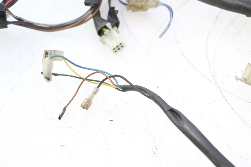 photo de INSTALACJA ELEKTRYCZNA YAMAHA YP MAJESTY 125 (2007 - 2010) - Struktura - zbliżenie