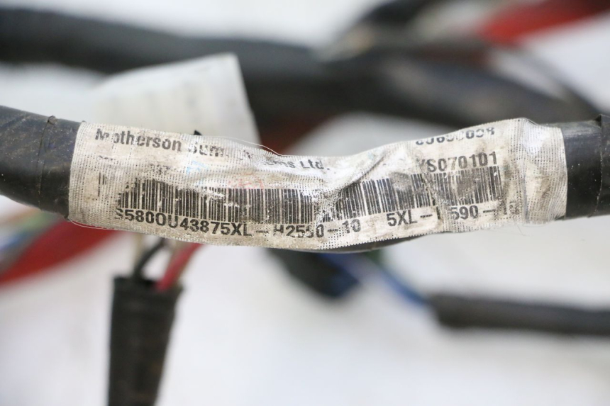 photo de INSTALACJA ELEKTRYCZNA YAMAHA YP MAJESTY 125 (2007 - 2010) - Inny kąt widzenia