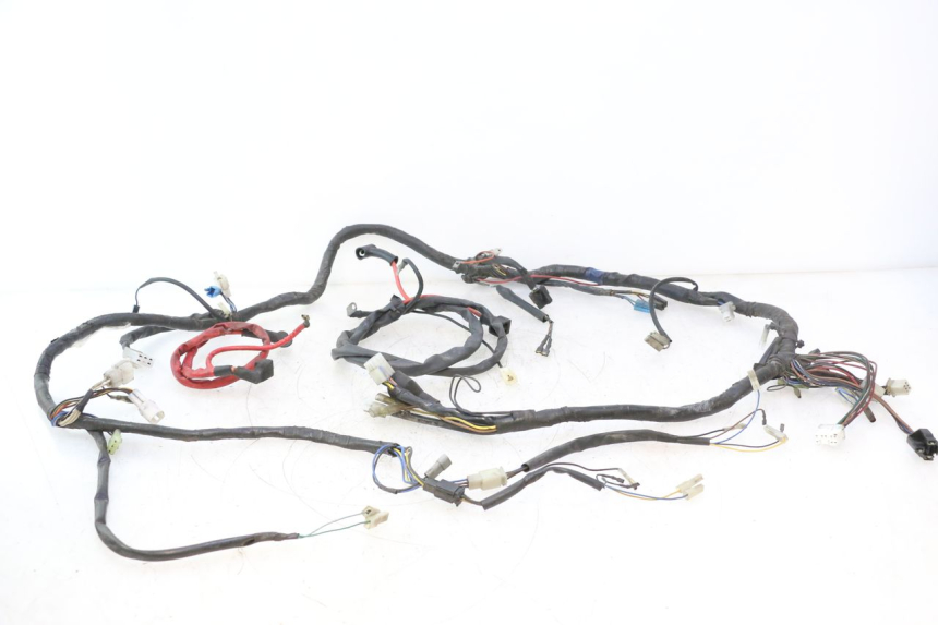 photo de INSTALACJA ELEKTRYCZNA YAMAHA YP MAJESTY 125 (2007 - 2010) - Widok główny