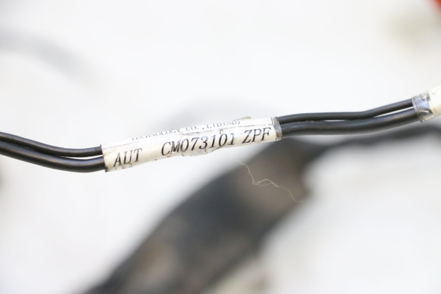 photo de WIĄZKA ELEKTRYCZNA PIAGGIO ZIP 2T 50 (2009 - 2019) - Szczegół części
