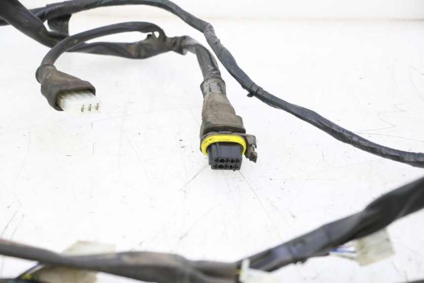 photo de WIĄZKA ELEKTRYCZNA PIAGGIO ZIP 2T 50 (2009 - 2019) - Widok ogólny