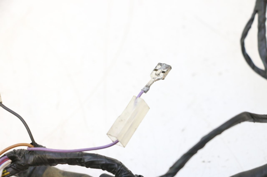 photo de WIĄZKA ELEKTRYCZNA PIAGGIO ZIP 2T 50 (2009 - 2019) - Widok ogólny
