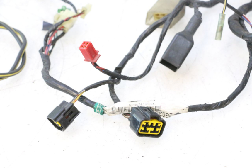 photo de INSTALACJA ELEKTRYCZNA KAWASAKI ZZR 600 (1995 - 2004) - Widok produktu