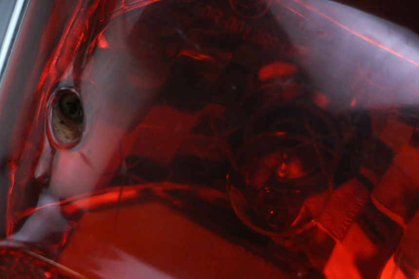 photo de LAMPA TYLNA SYM FIDDLE 2 50 (2008 - 2013) - Zoom stanu zużycia