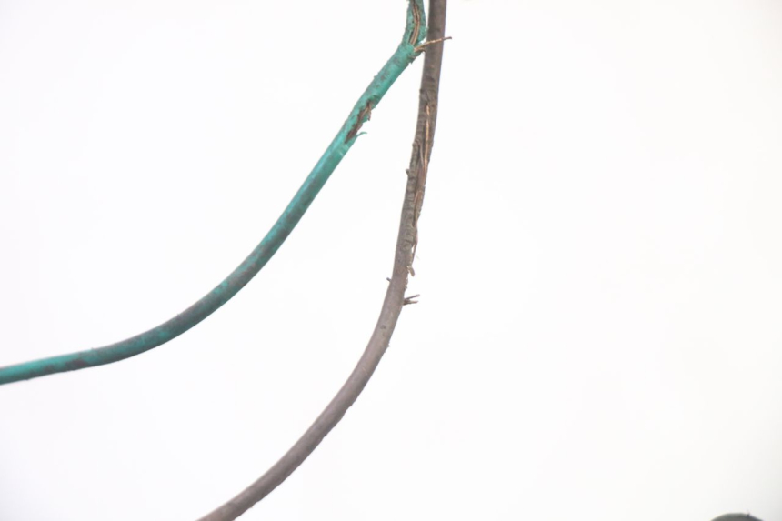 photo de LAMPA TYLNA KYMCO GRAND DINK 125 (2008 - 2014) - Widok z bliska