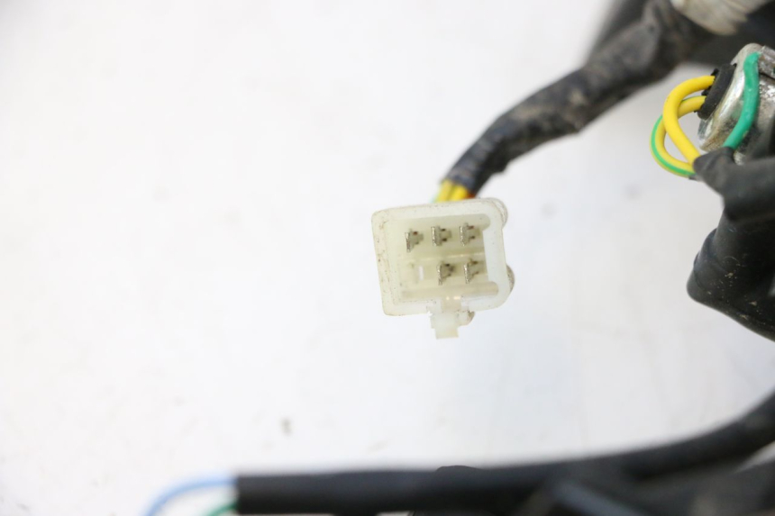 photo de LAMPA TYLNA PEUGEOT KISBEE 4T 50 (2018 - 2022) - Zbliżenie techniczne