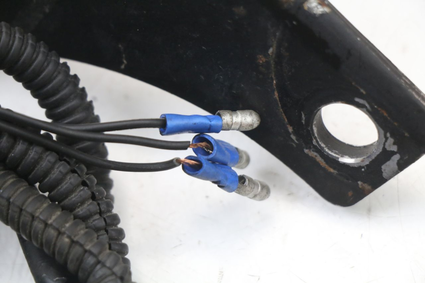 photo de LAMPA TYLNA HARLEY DAVIDSON SPORTSTER XL CUSTOM 1200 (2003 - 2004) - Punkty mocowania